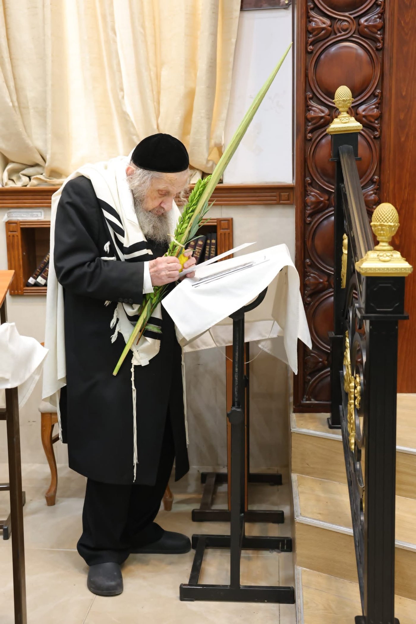 הושענא רבה אצל הגר"ד לנדו