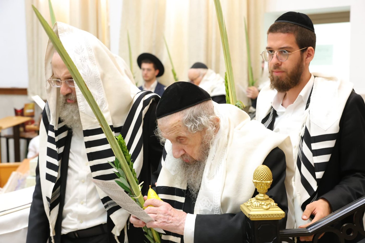הושענא רבה אצל הגר"ד לנדו