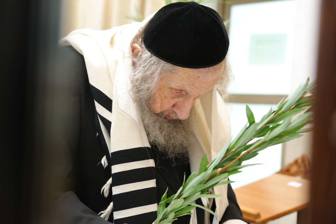 הושענא רבה אצל הגר"ד לנדו