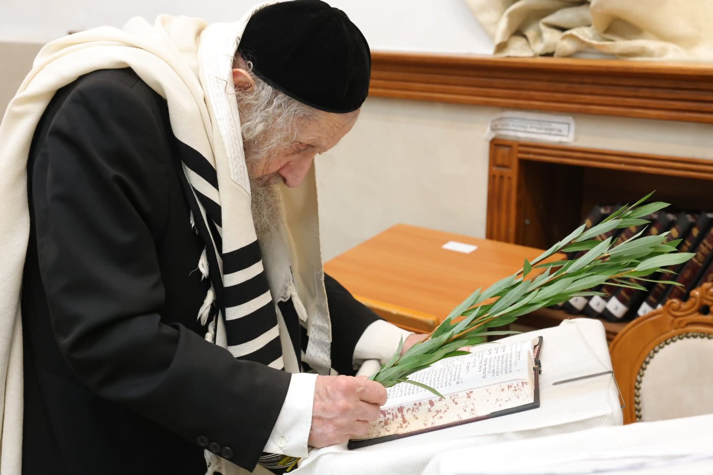 הושענא רבה אצל הגר"ד לנדו