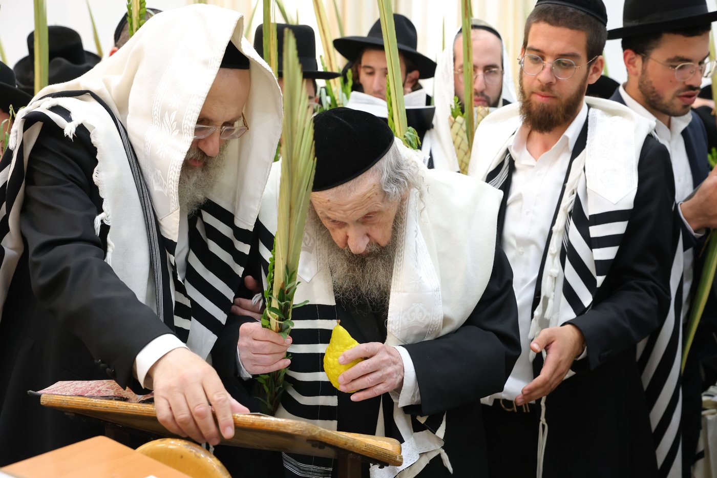 הושענא רבה אצל הגר"ד לנדו