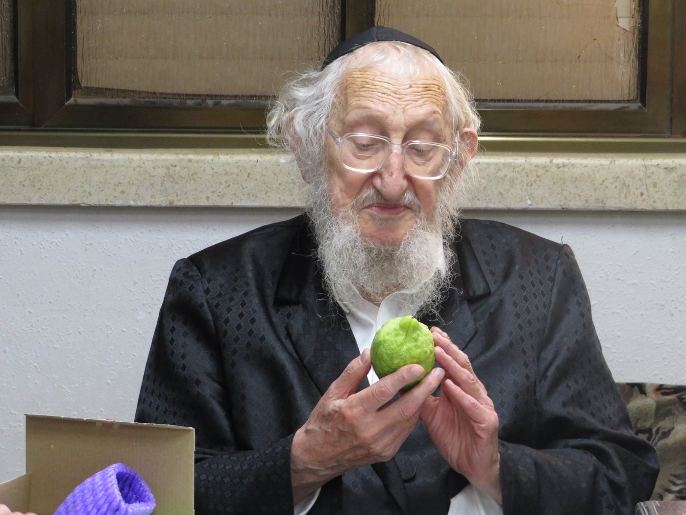 חג הסוכות אצל הגר"א לוי 