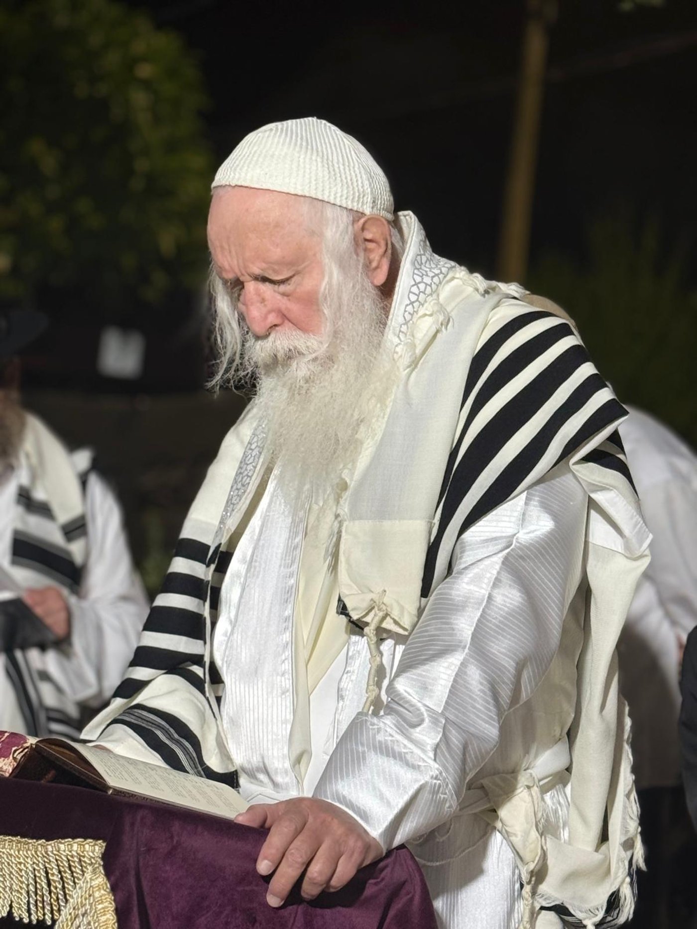 ירח האיתנים אצל הגרי"ד גרוסמן
