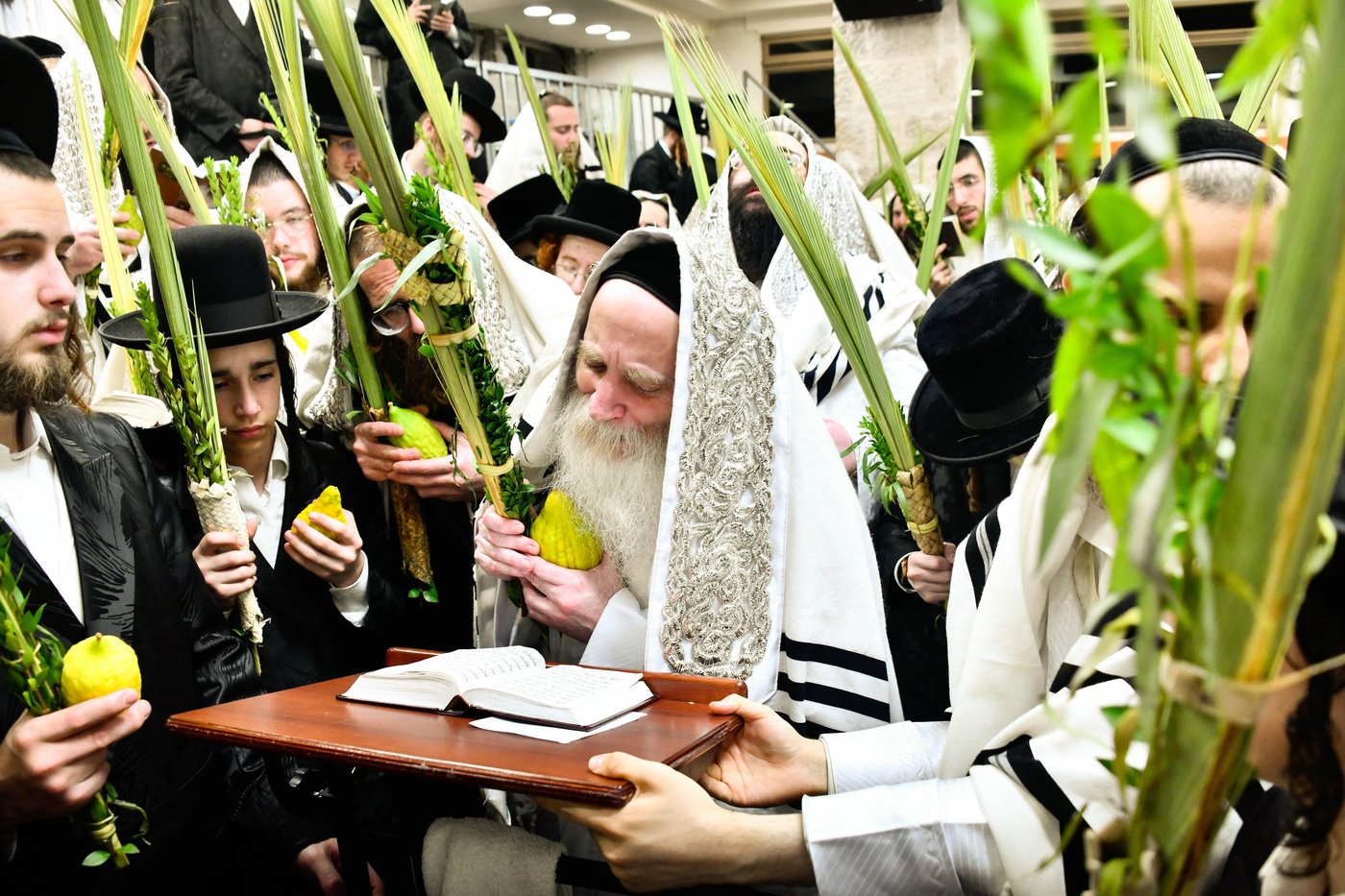 הושענא רבה אצל הגה"צ רבי יצחק מאיר מורגנשטרן