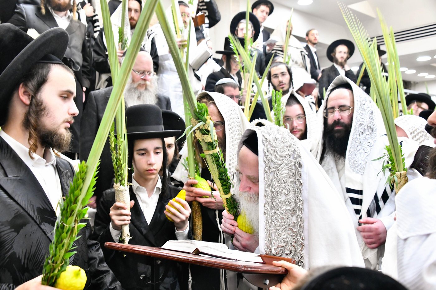 הושענא רבה אצל הגה"צ רבי יצחק מאיר מורגנשטרן