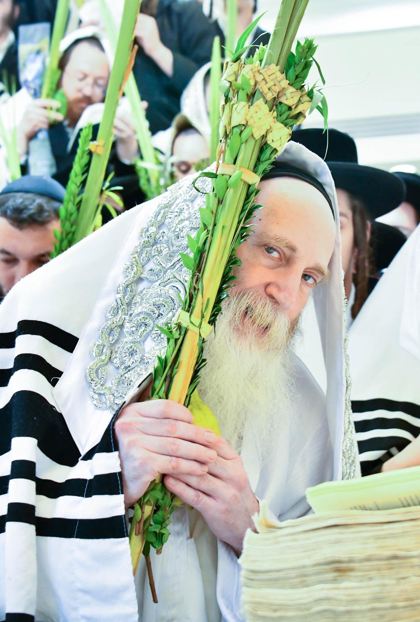 הושענא רבה אצל הגה"צ רבי יצחק מאיר מורגנשטרן