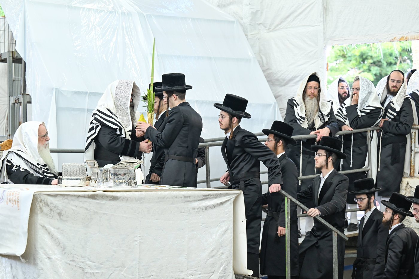 האדמו"ר מצאנז עם ארבעת המינים