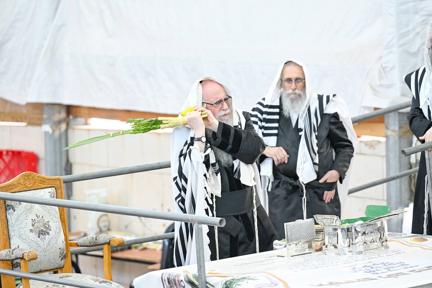 האדמו"ר מצאנז עם ארבעת המינים