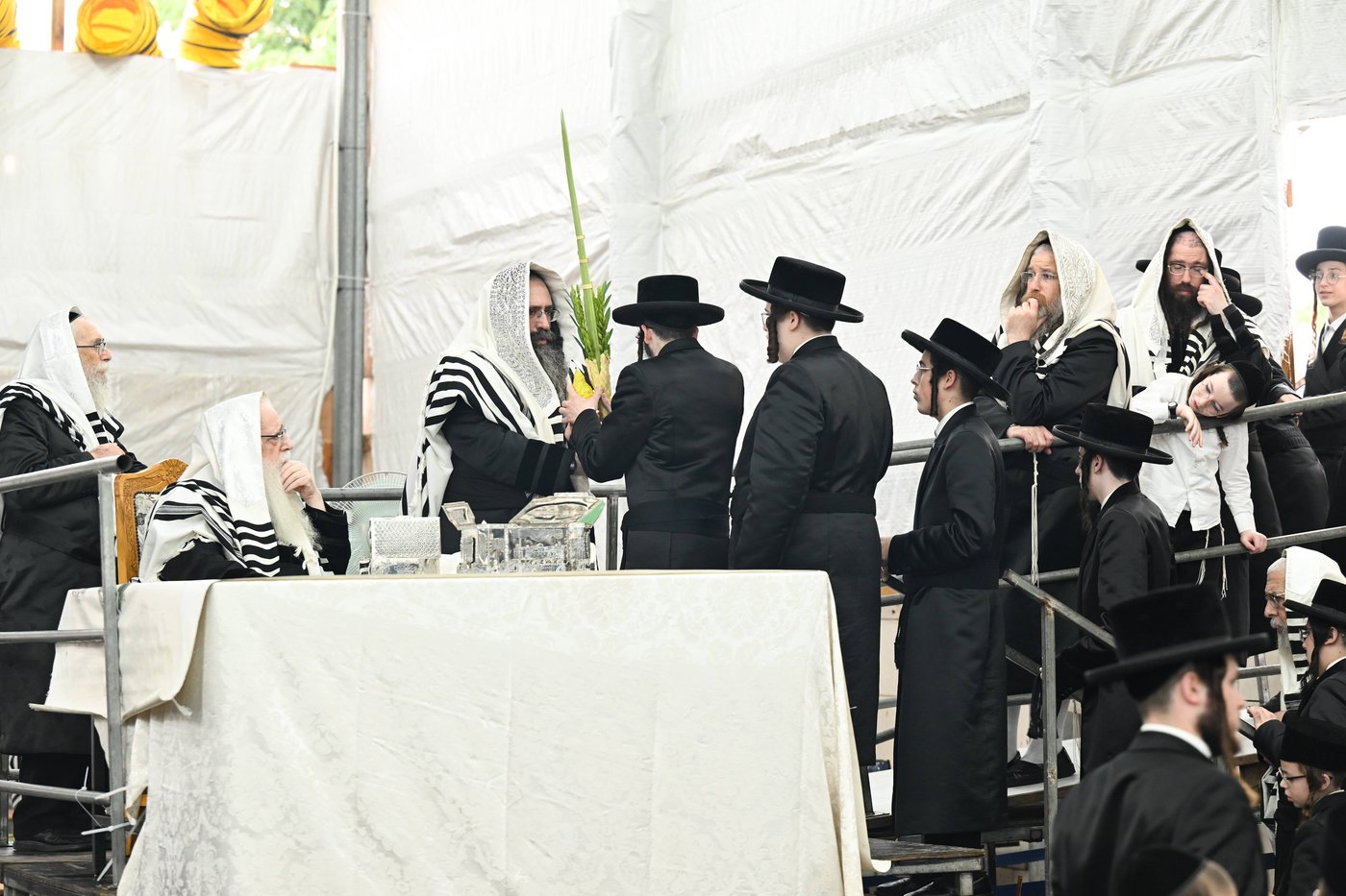 האדמו"ר מצאנז עם ארבעת המינים