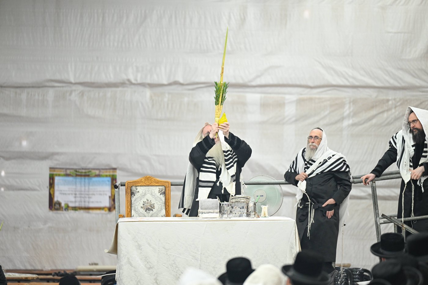 האדמו"ר מצאנז עם ארבעת המינים