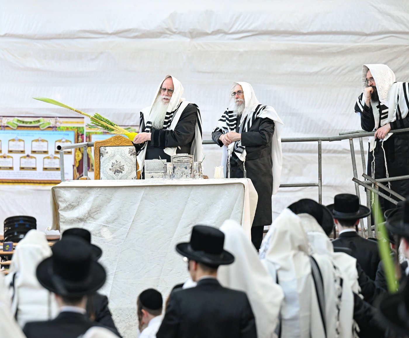 האדמו"ר מצאנז עם ארבעת המינים