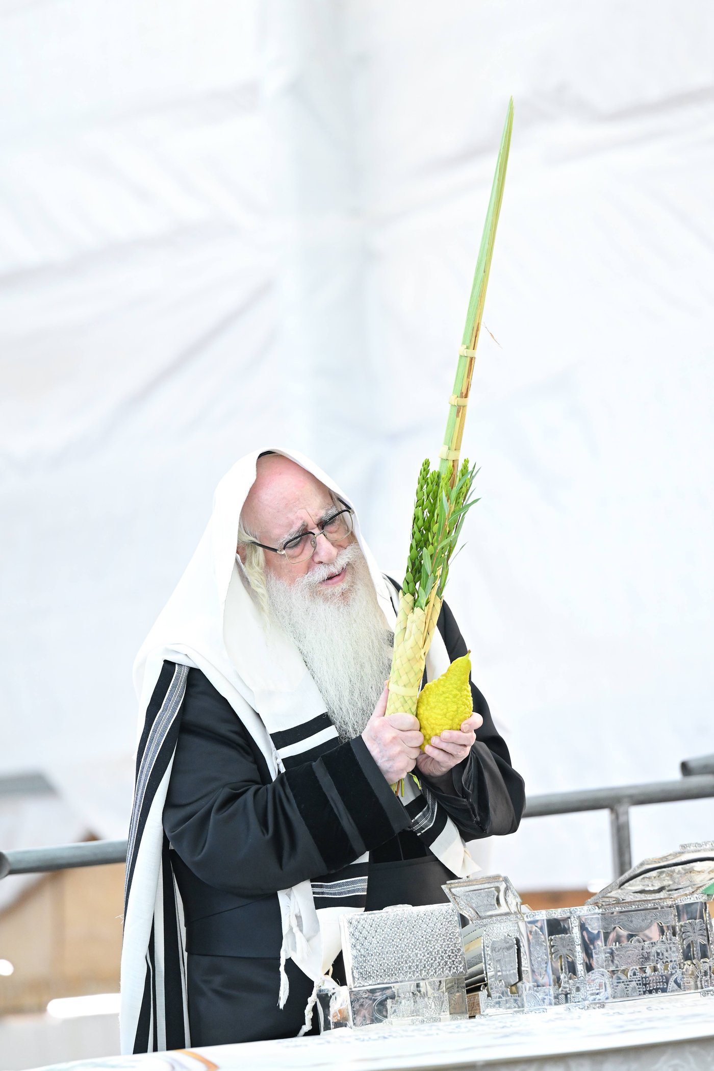 האדמו"ר מצאנז עם ארבעת המינים