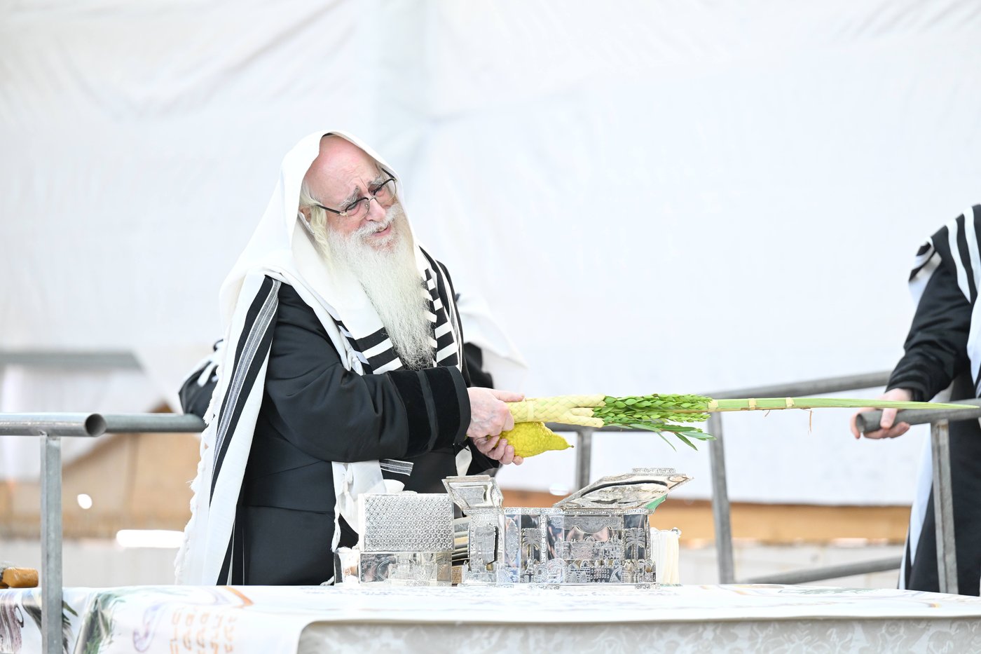 האדמו"ר מצאנז עם ארבעת המינים