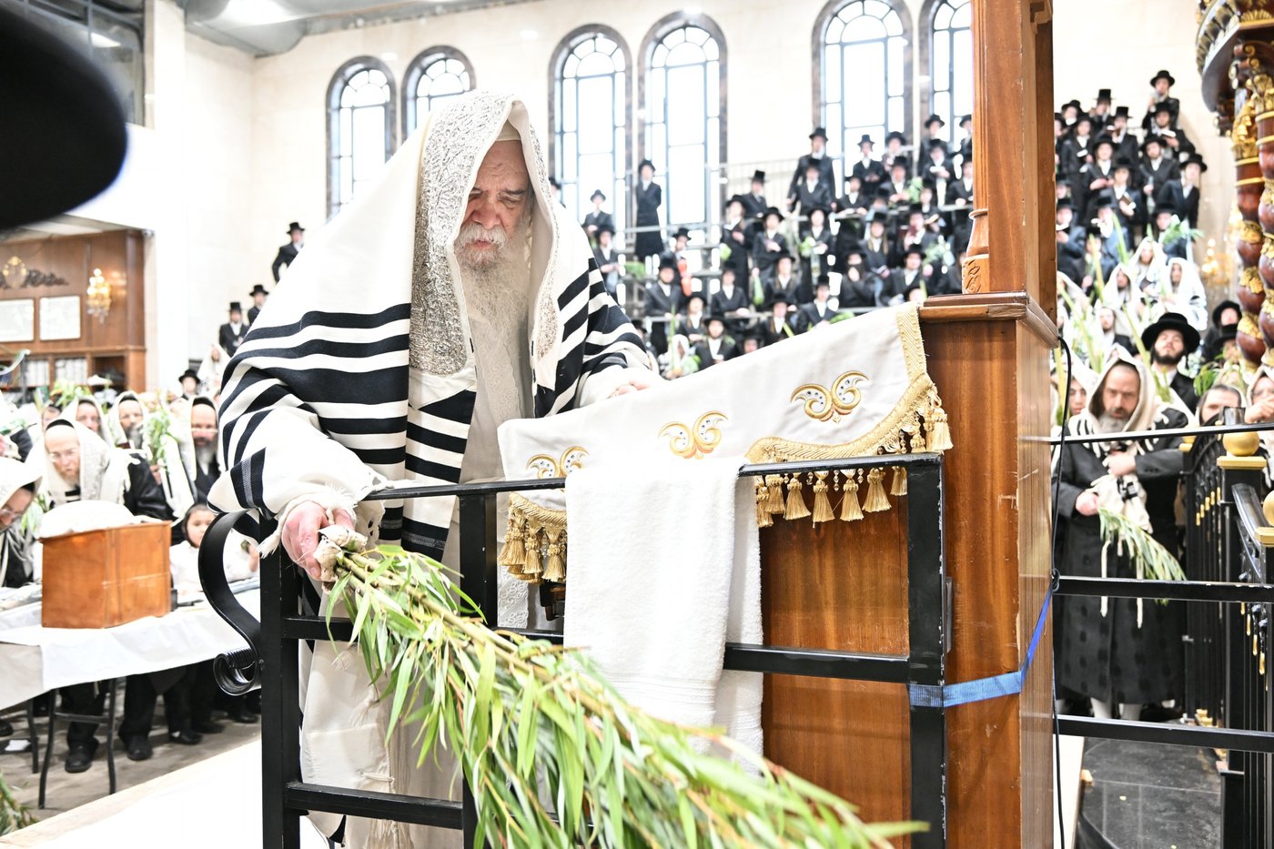 הושענא רבה בחצה"ק דארג