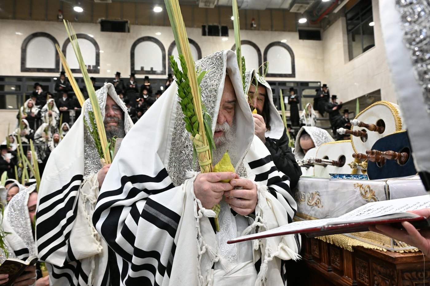 הושענא רבה בחצה"ק דארג