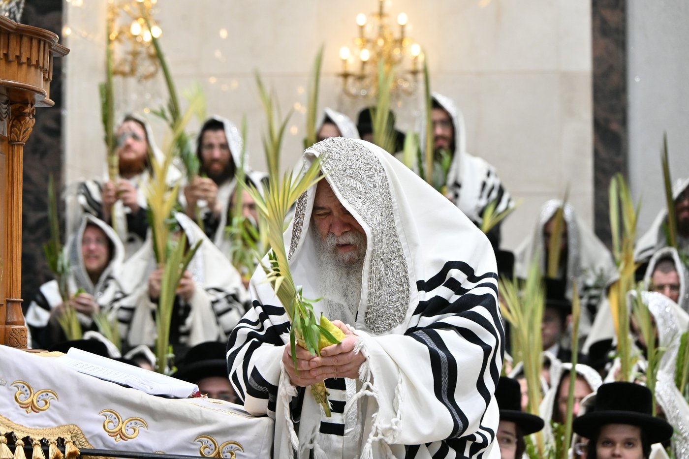הושענא רבה בחצה"ק דארג
