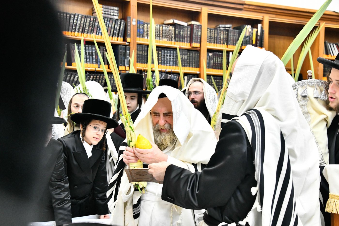 הושענא רבה בחצה"ק רחמסטריווקא