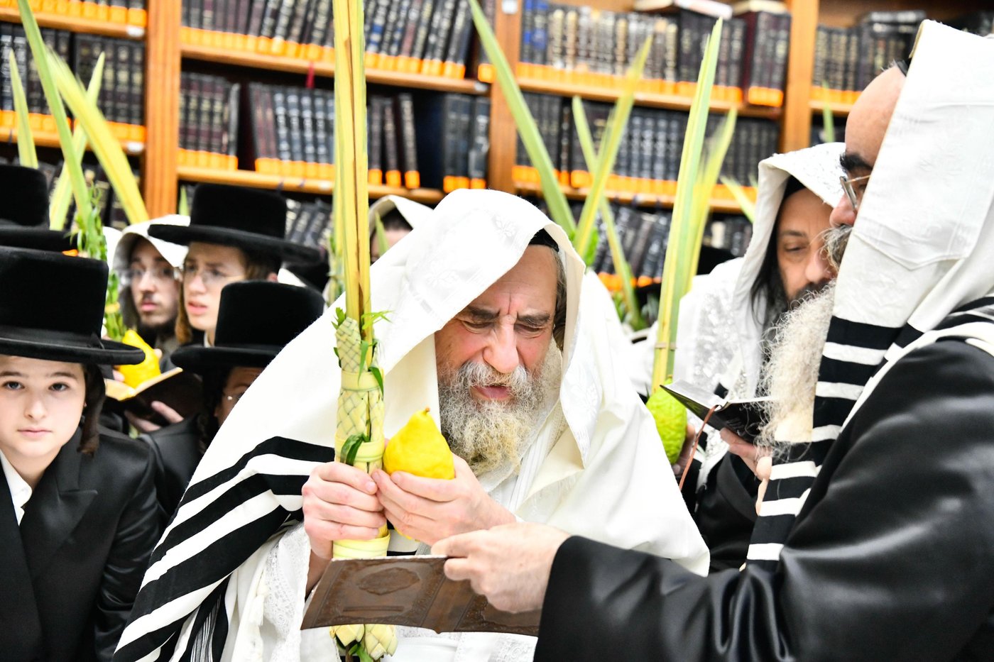 הושענא רבה בחצה"ק רחמסטריווקא