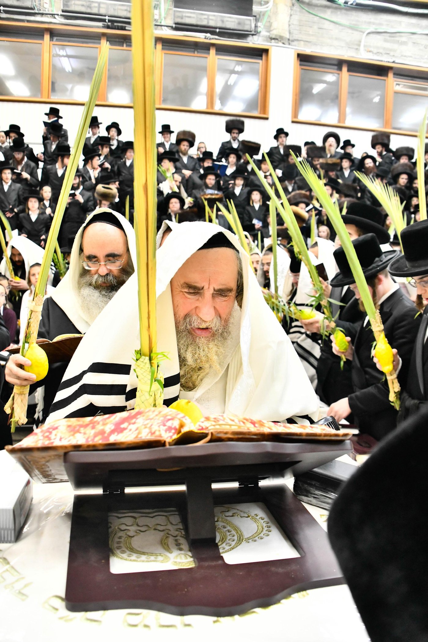הושענא רבה בחצה"ק רחמסטריווקא
