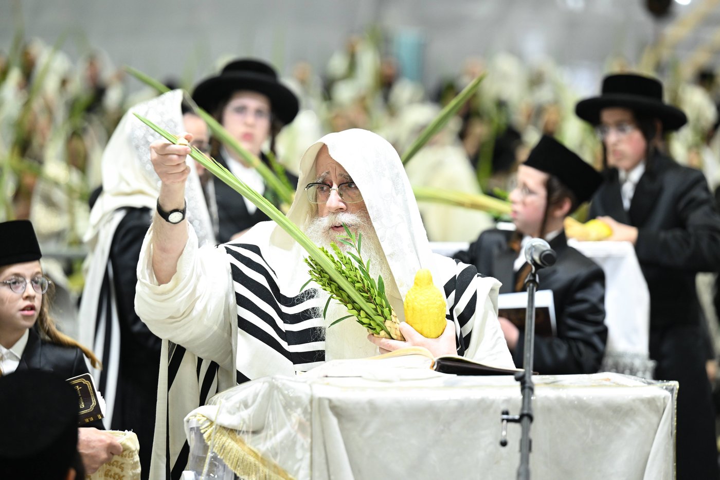 האדמו"ר מצאנז בעבודת הנענועים בהושענא רבה
