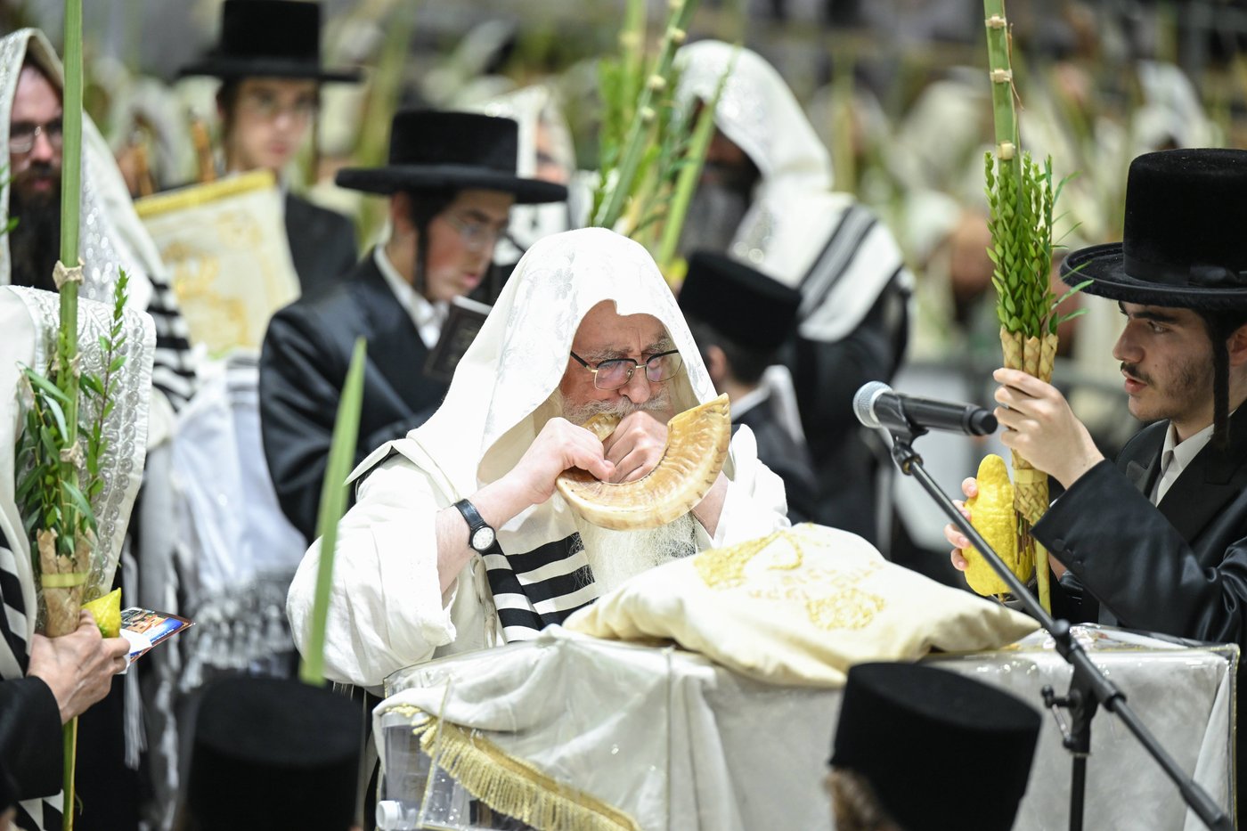 האדמו"ר מצאנז בעבודת הנענועים בהושענא רבה