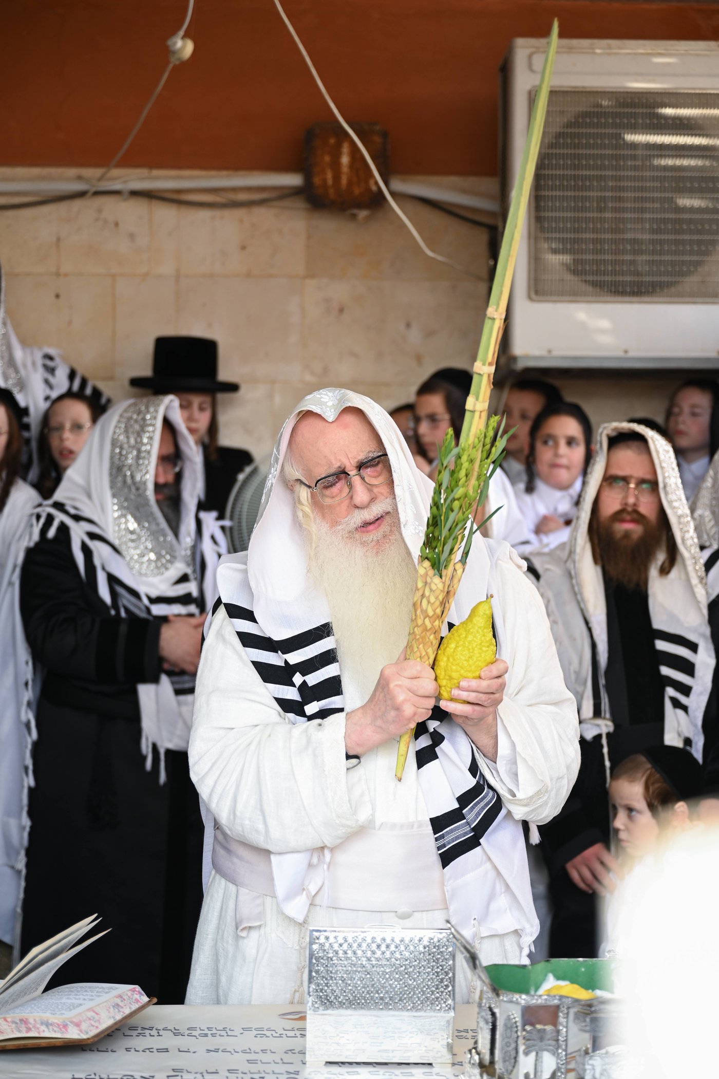 האדמו"ר מצאנז בעבודת הנענועים בהושענא רבה