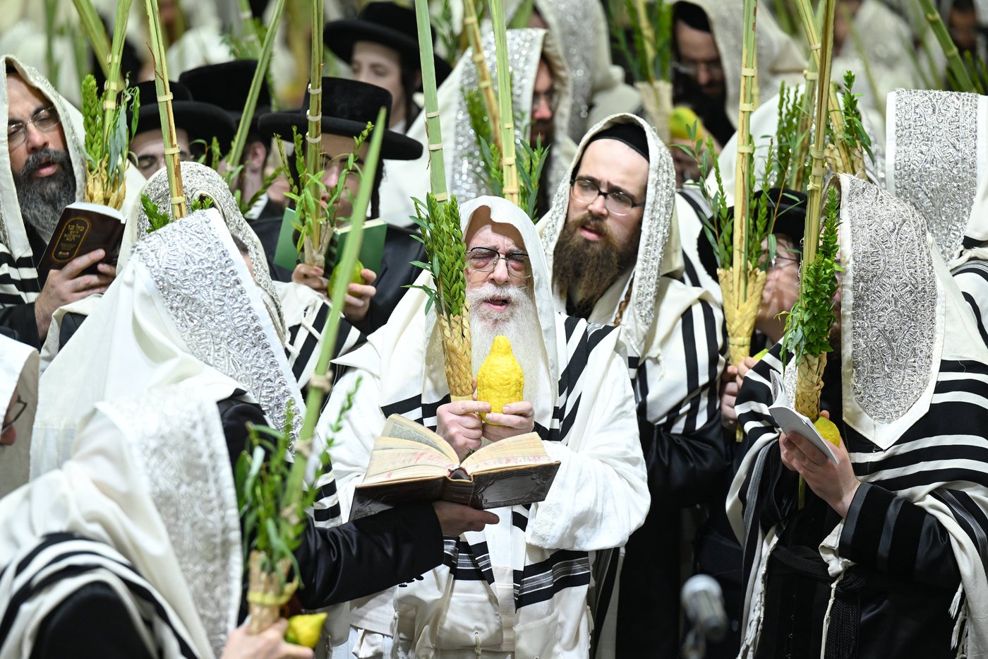 האדמו"ר מצאנז בעבודת הנענועים בהושענא רבה