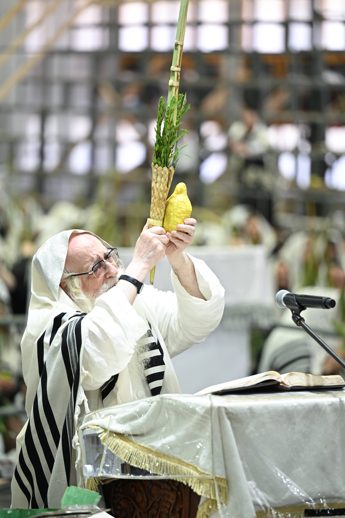 האדמו"ר מצאנז בעבודת הנענועים בהושענא רבה