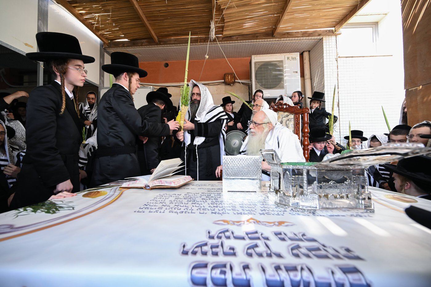 האדמו"ר מצאנז בעבודת הנענועים בהושענא רבה