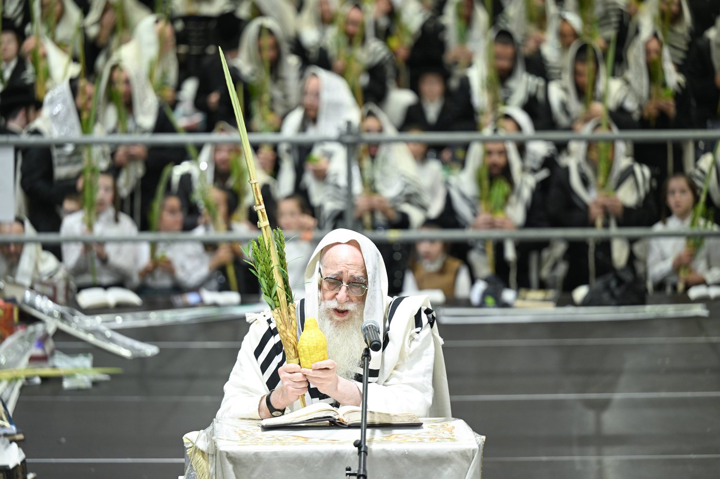 האדמו"ר מצאנז בעבודת הנענועים בהושענא רבה