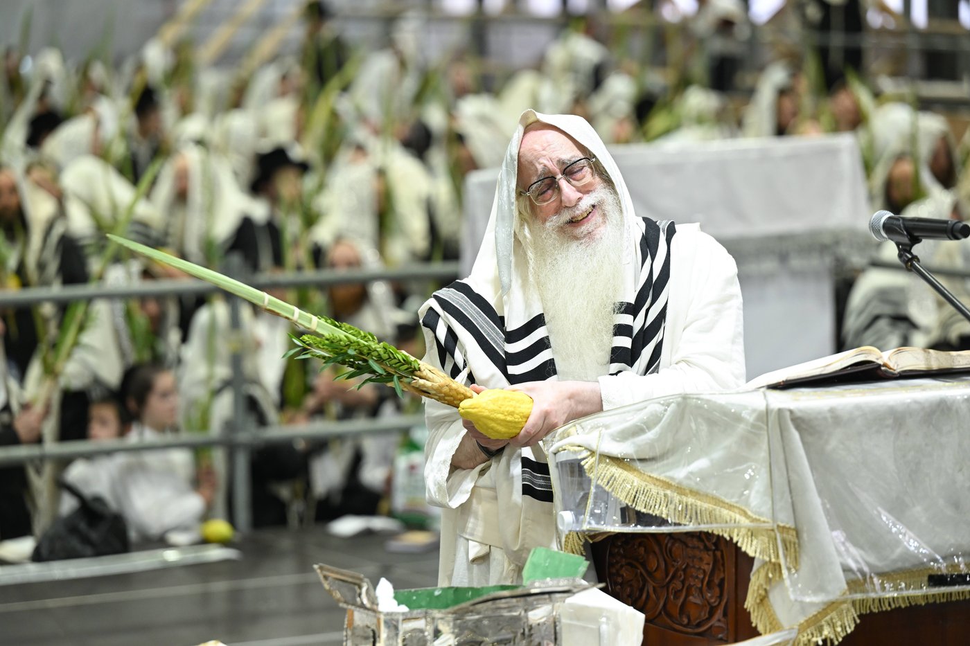 האדמו"ר מצאנז בעבודת הנענועים בהושענא רבה