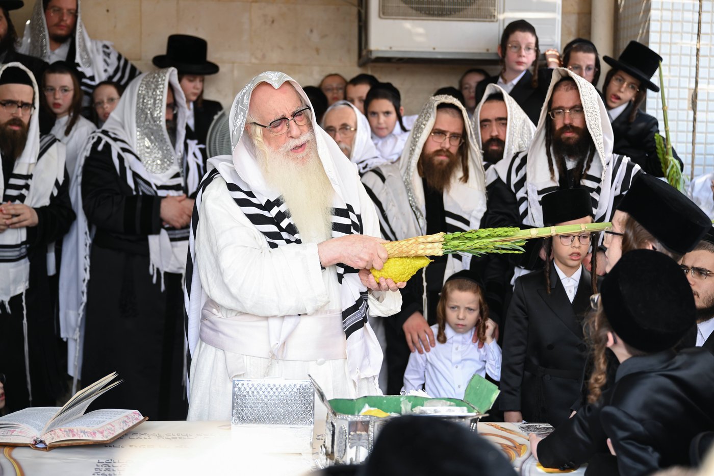 האדמו"ר מצאנז בעבודת הנענועים בהושענא רבה