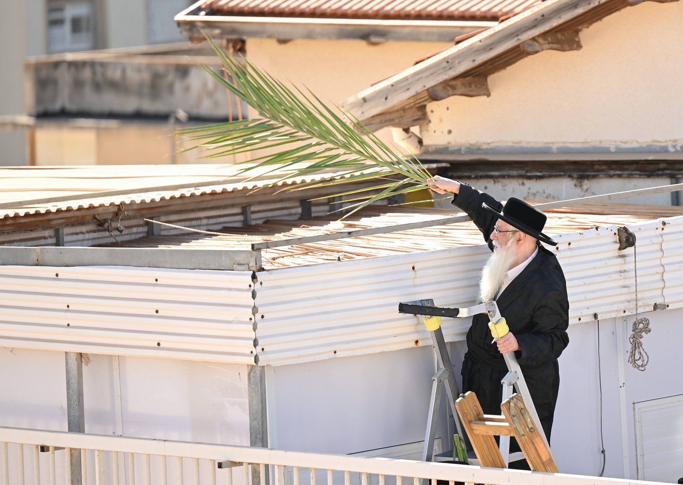 האדמו"ר מצאנז מסכך סוכתו