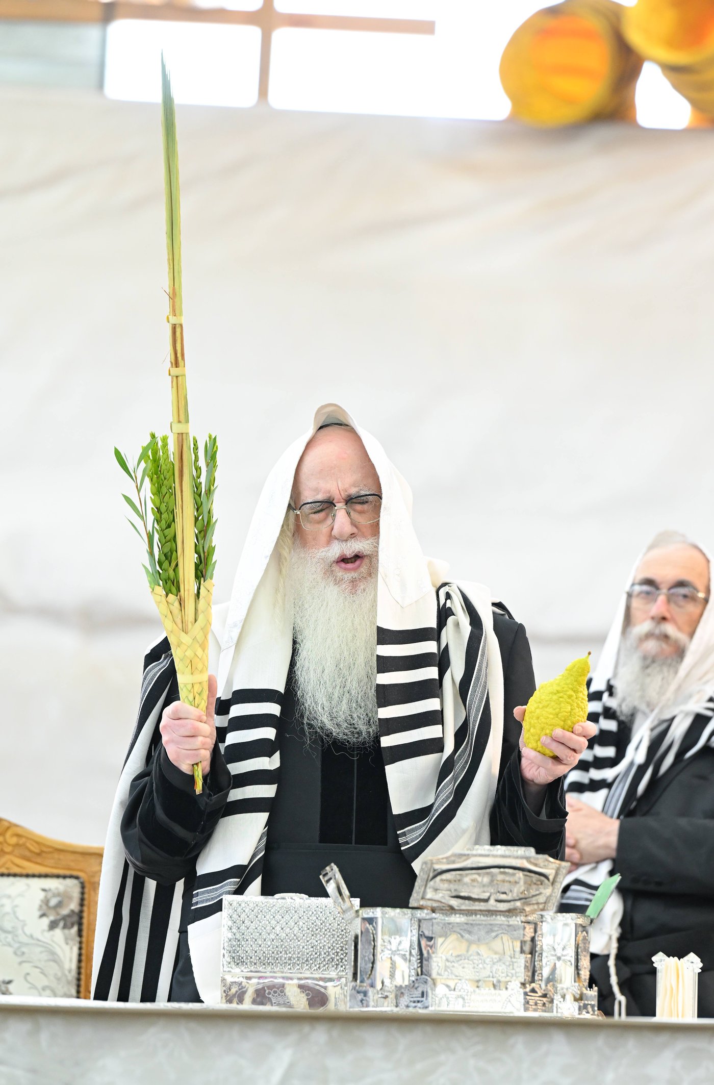 סוכות בחצה"ק צאנז