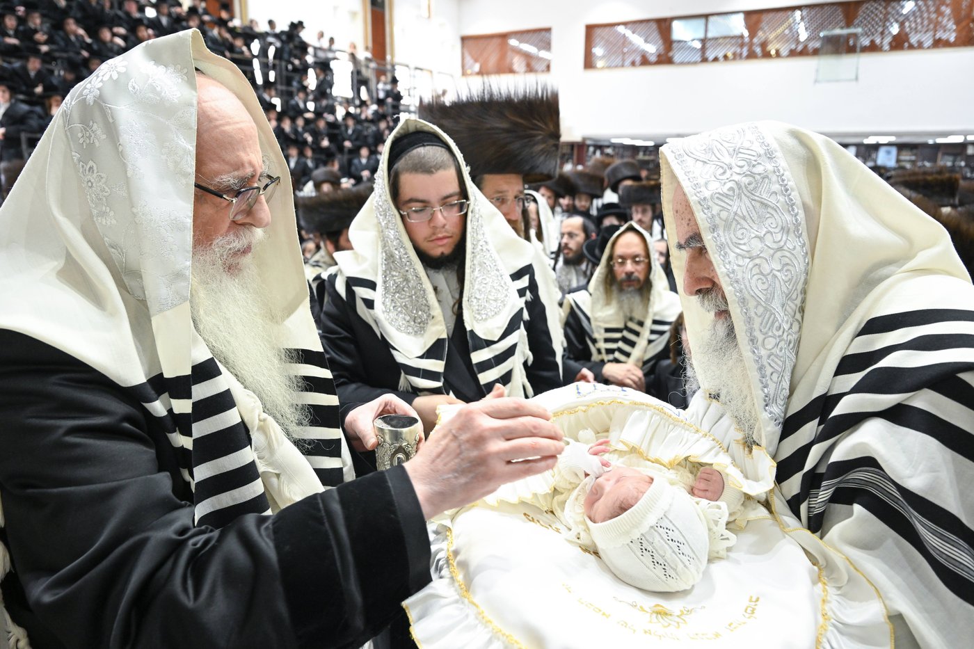 סוכות בחצה"ק צאנז