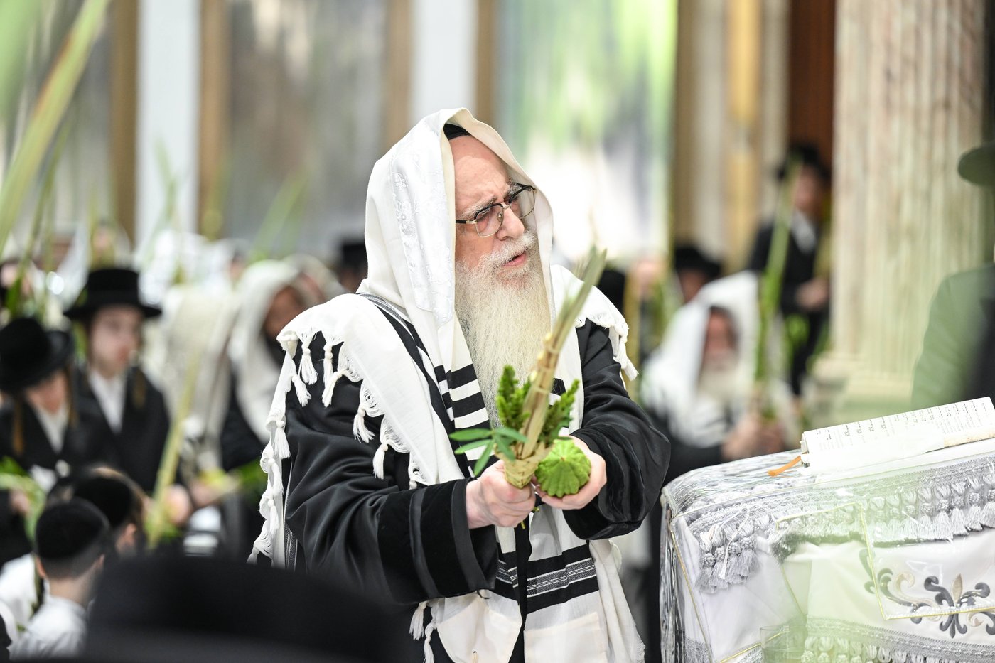 סוכות בחצה"ק צאנז