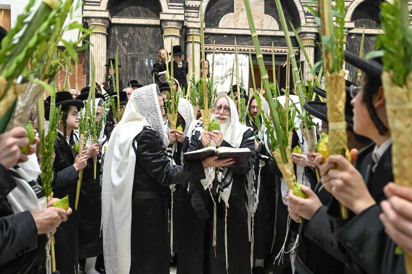 סוכות בחצה"ק צאנז