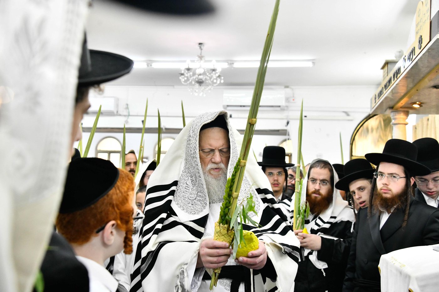 הושענא רבא בחצה"ק מודז'יץ