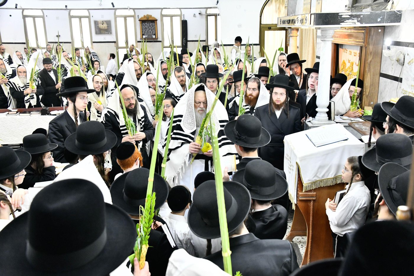 הושענא רבא בחצה"ק מודז'יץ