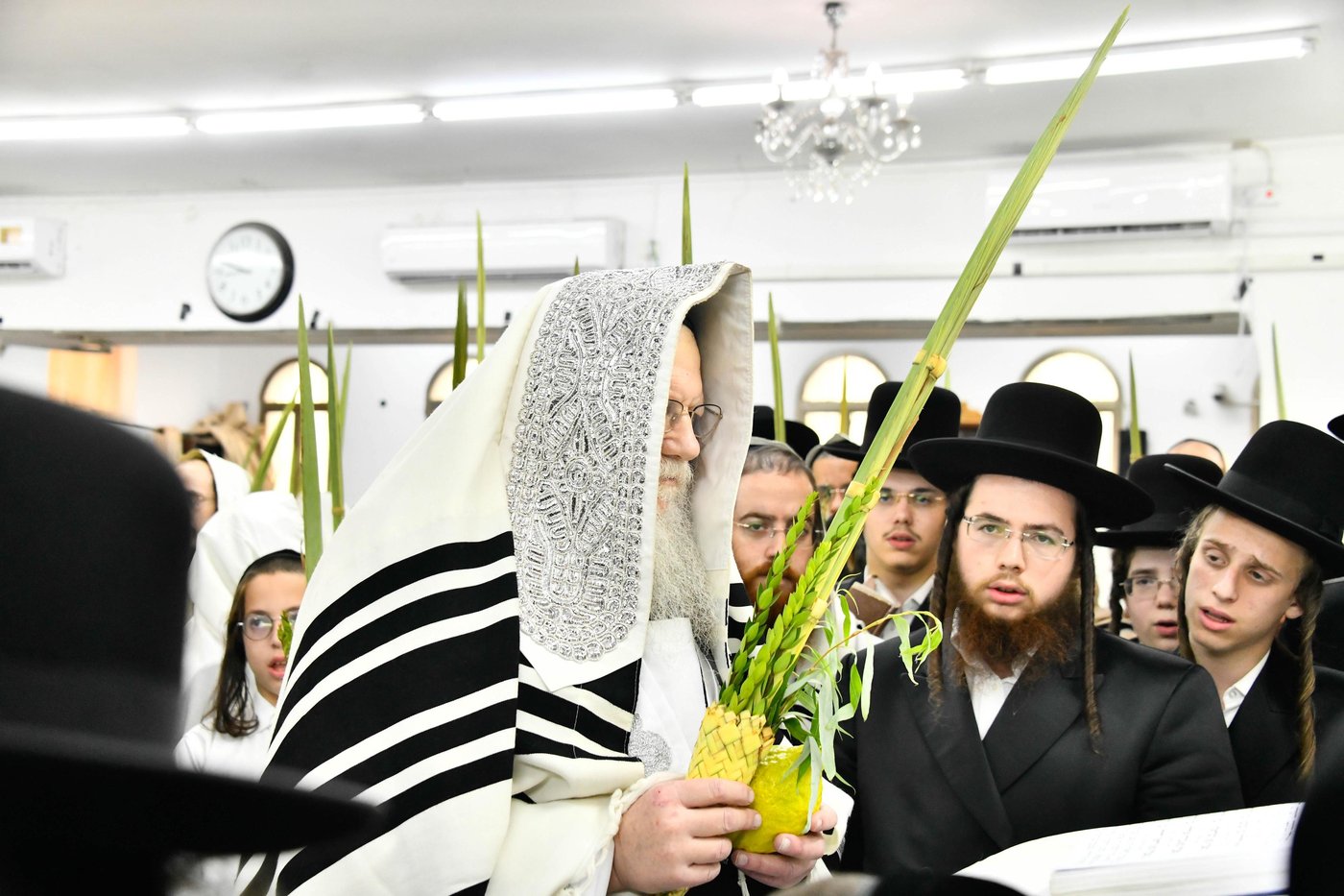 הושענא רבא בחצה"ק מודז'יץ