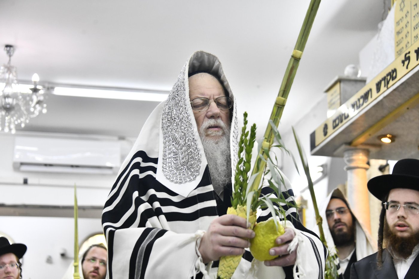 סוכות בחצה"ק מודז'יץ