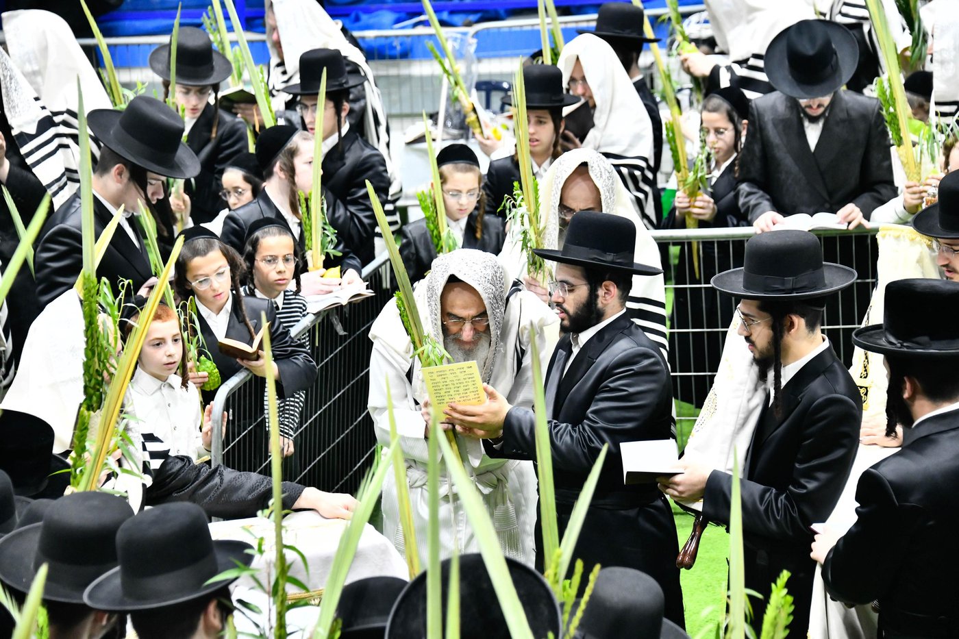 הושענא רבה בחצה"ק אלכסנדר