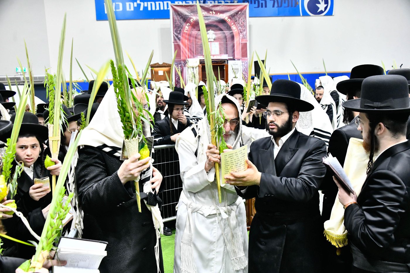 הושענא רבה בחצה"ק אלכסנדר