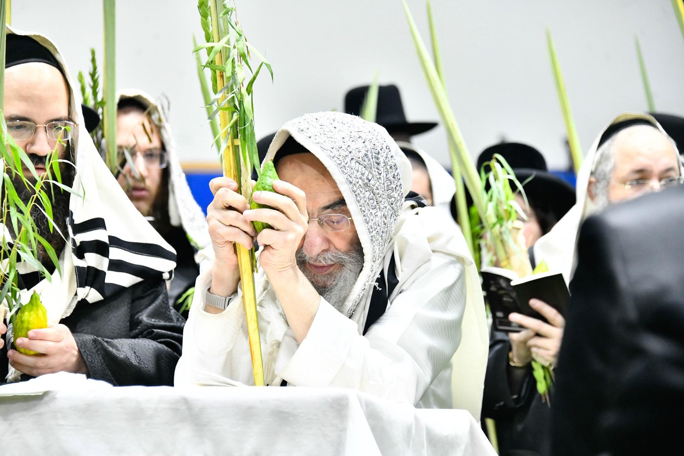 הושענא רבה בחצה"ק אלכסנדר