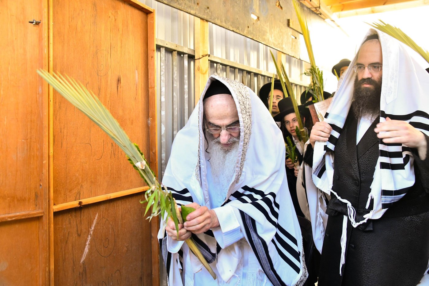 הושענא רבה בחצה"ק אלכסנדר