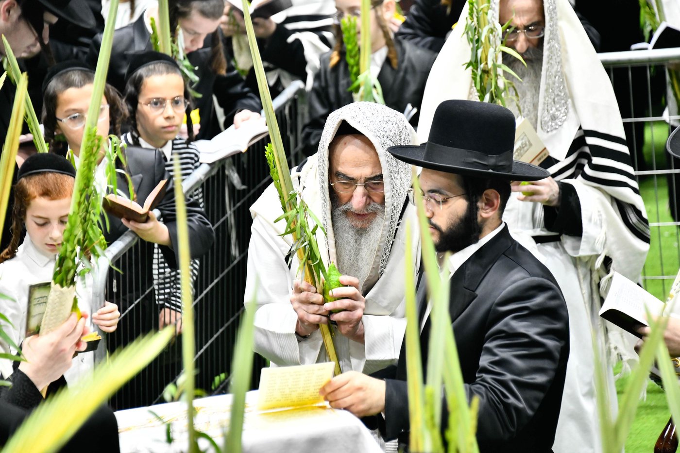 הושענא רבה בחצה"ק אלכסנדר