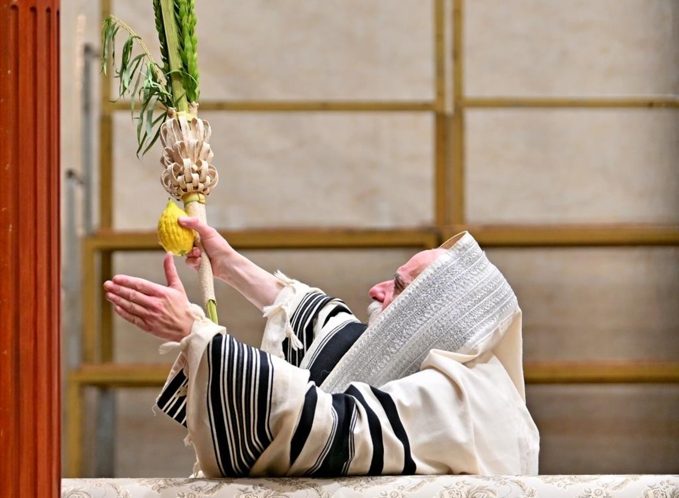 חג הסוכות בחצה"ק ויזניץ
