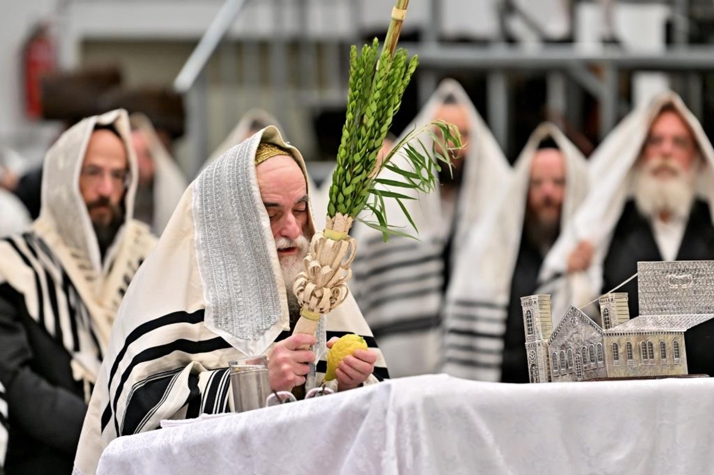 חג הסוכות בחצה"ק ויזניץ