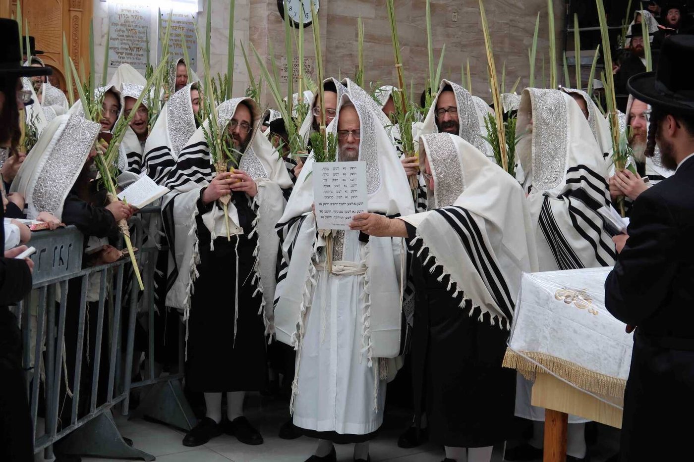 הושענא רבה בחצה"ק סערט ויז'ניץ