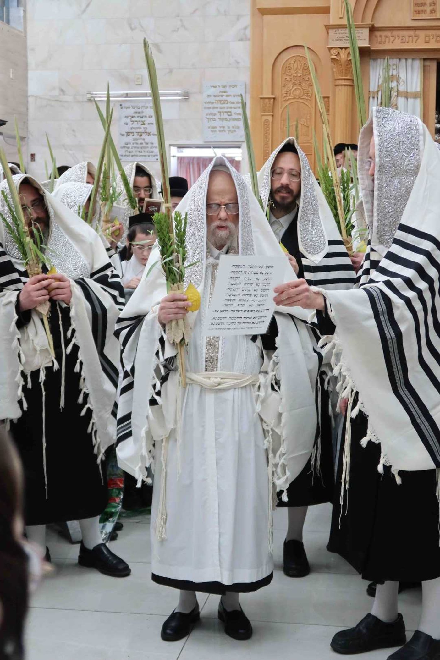 הושענא רבה בחצה"ק סערט ויז'ניץ